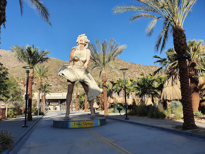 dog-things-to-do-palm-springs-10